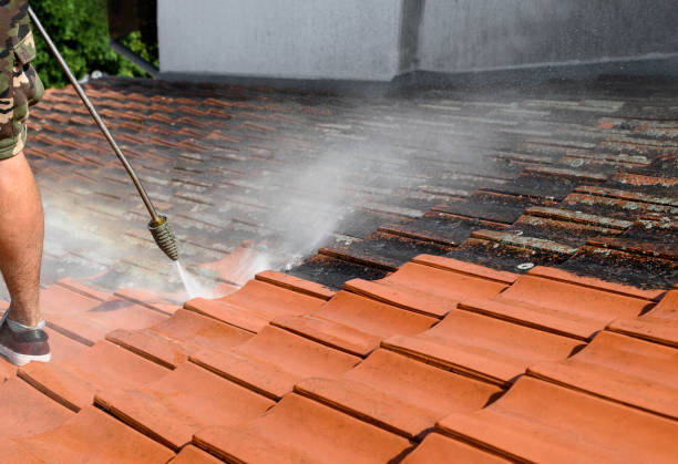  Branchville, SC Pressure Washing Pros