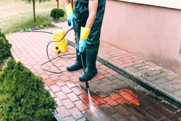 Best Roof Pressure Washing  in Branchville, SC